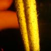 DSC03620