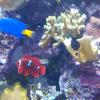 IMG_20110611_135039