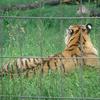 Zoo