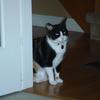 DSC03597Small